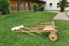Pferde mit Kutsche